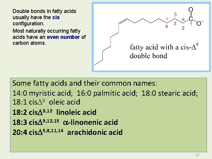 Double bonds in fatty acids usually have the cis configuration. Most naturally occurring fatty