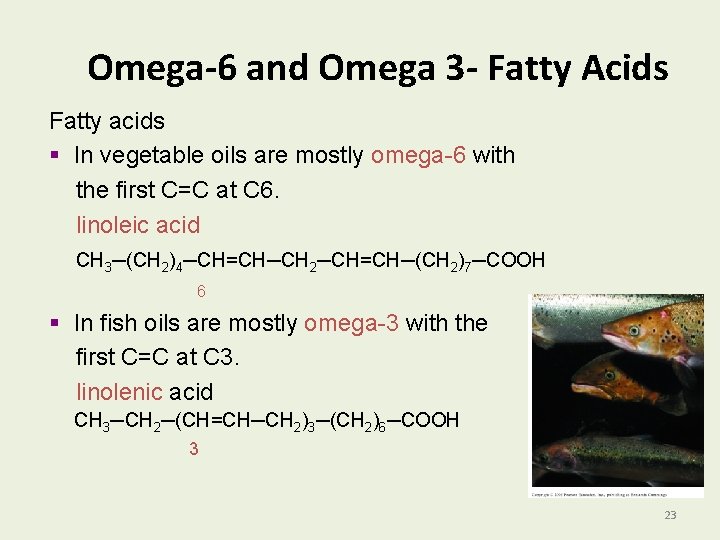 Omega-6 and Omega 3 - Fatty Acids Fatty acids § In vegetable oils are