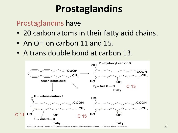 Prostaglandins have • 20 carbon atoms in their fatty acid chains. • An OH