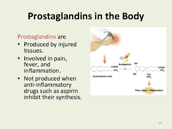 Prostaglandins in the Body Prostaglandins are • Produced by injured tissues. • Involved in