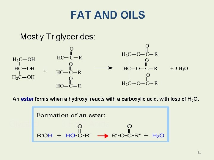 FAT AND OILS Mostly Triglycerides: An ester forms when a hydroxyl reacts with a