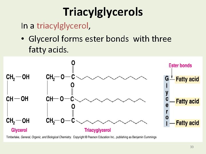 Triacylglycerols In a triacylglycerol, • Glycerol forms ester bonds with three fatty acids. 33