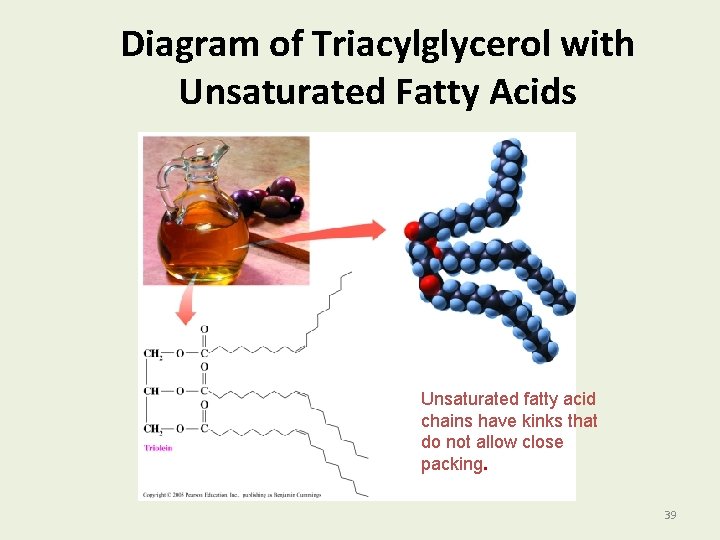 Diagram of Triacylglycerol with Unsaturated Fatty Acids Unsaturated fatty acid chains have kinks that