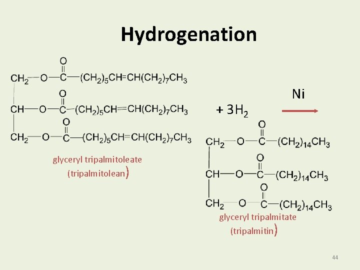 Hydrogenation + 3 H 2 Ni glyceryl tripalmitoleate (tripalmitolean) glyceryl tripalmitate (tripalmitin) 44 