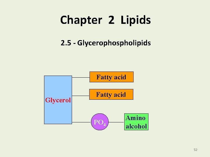 Chapter 2 Lipids 2. 5 - Glycerophospholipids Fatty acid Glycerol Fatty acid PO 4