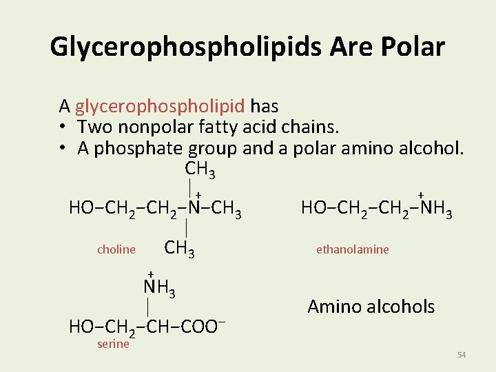 Glycerophospholipids Are Polar A glycerophospholipid has • Two nonpolar fatty acid chains. • A