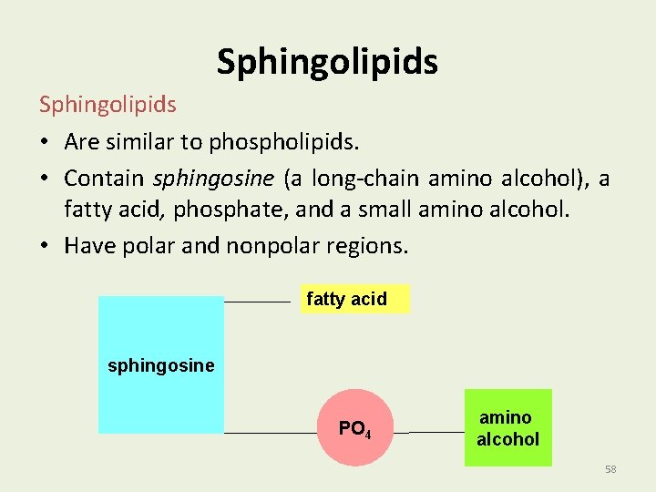 Sphingolipids • Are similar to phospholipids. • Contain sphingosine (a long-chain amino alcohol), a