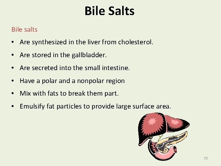 Bile Salts Bile salts • Are synthesized in the liver from cholesterol. • Are