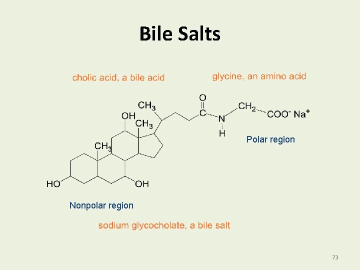 Bile Salts Polar region Nonpolar region 73 