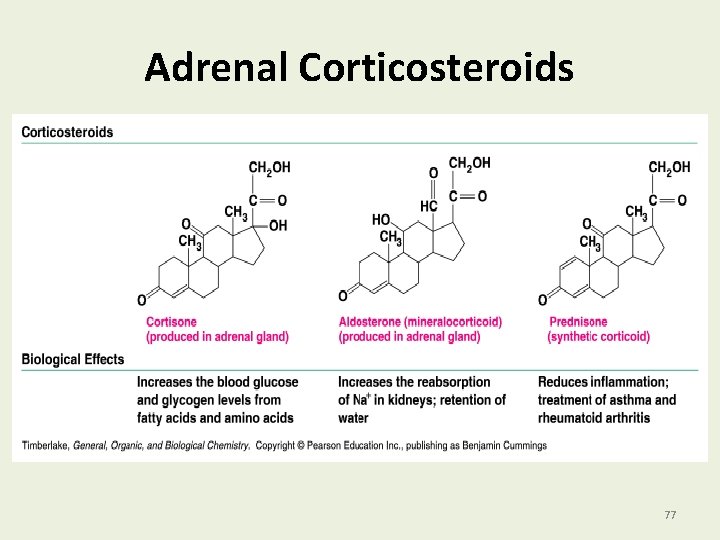 Adrenal Corticosteroids 77 