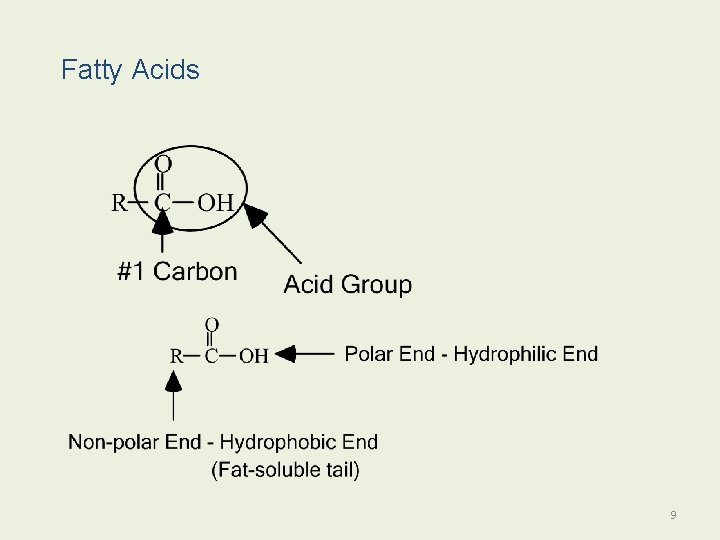 Fatty Acids 9 