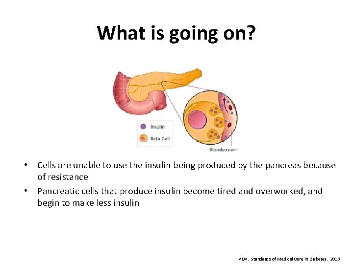 What is going on? • Cells are unable to use the insulin being produced