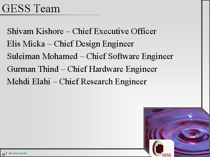 GESS Team Shivam Kishore – Chief Executive Officer Elis Micka – Chief Design Engineer