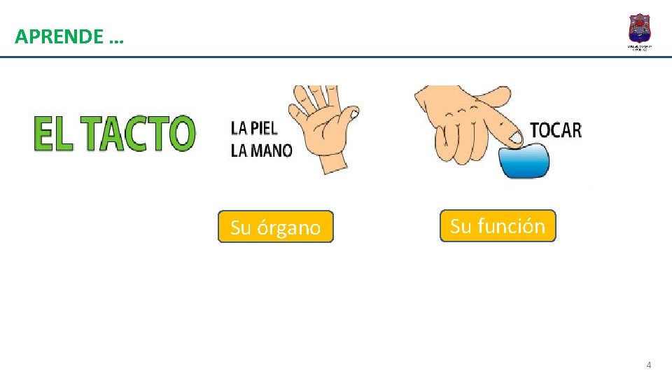 APRENDE … Su órgano Su función 4 