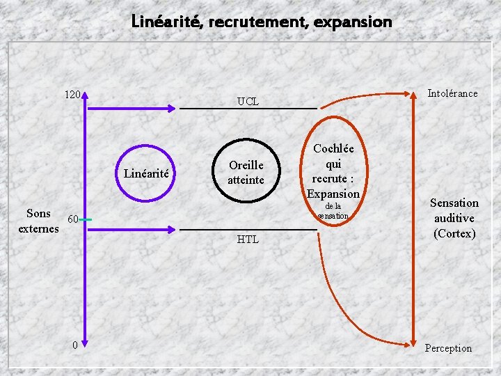 Linéarité, recrutement, expansion 120 Linéarité Sons 60 externes 0 Intolérance UCL Oreille atteinte Cochlée