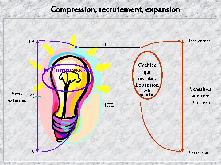 Compression, recrutement, expansion 120 Cochlée qui recrute : Expansion la Compression ! Sons 60