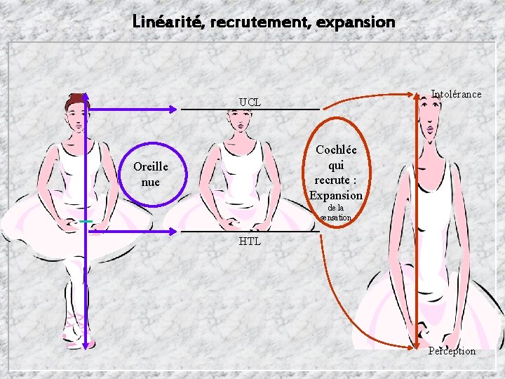 Linéarité, recrutement, expansion Intolérance UCL Cochlée qui recrute : Expansion Oreille nue de la