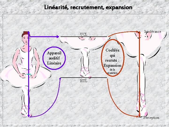 Linéarité, recrutement, expansion Intolérance UCL Cochlée qui recrute : Expansion Appareil auditif Linéaire de