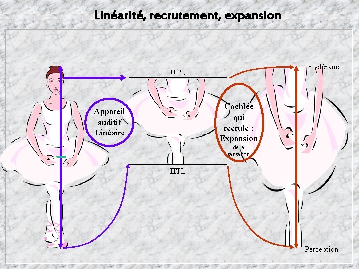 Linéarité, recrutement, expansion Intolérance UCL Cochlée qui recrute : Expansion Appareil auditif Linéaire de