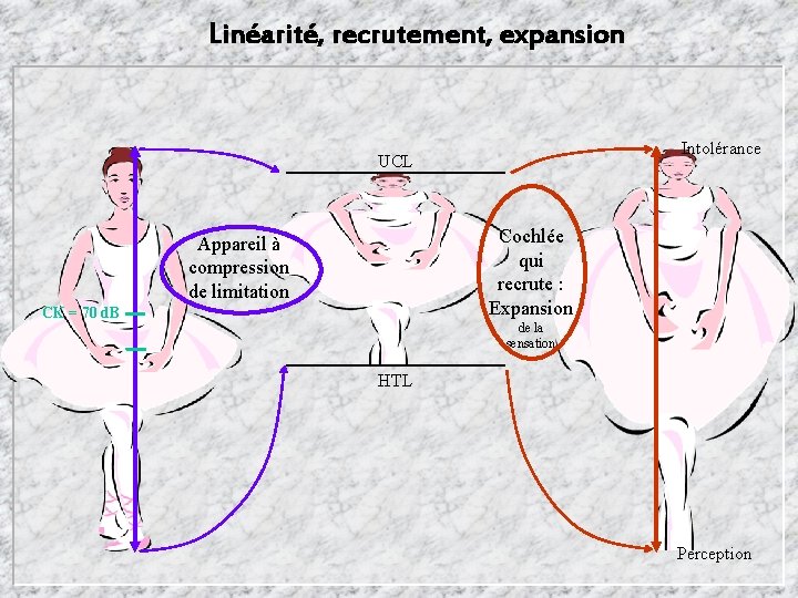 Linéarité, recrutement, expansion Intolérance UCL Cochlée qui recrute : Expansion Appareil à compression de