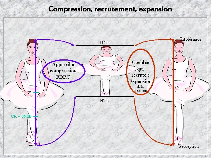 Compression, recrutement, expansion Intolérance UCL Cochlée qui recrute : Expansion Appareil à compression FDRC