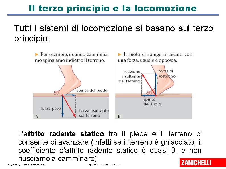 Il terzo principio e la locomozione Tutti i sistemi di locomozione si basano sul