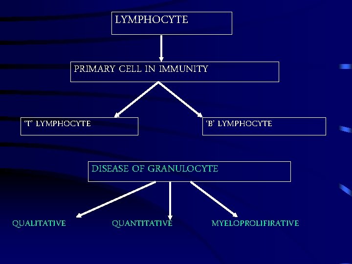 LYMPHOCYTE PRIMARY CELL IN IMMUNITY ‘T’ LYMPHOCYTE ‘B’ LYMPHOCYTE DISEASE OF GRANULOCYTE QUALITATIVE QUANTITATIVE