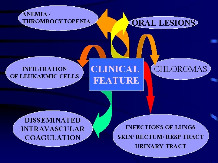 ANEMIA / THROMBOCYTOPENIA INFILTRATION OF LEUKAEMIC CELLS DISSEMINATED INTRAVASCULAR COAGULATION ORAL LESIONS CLINICAL FEATURE