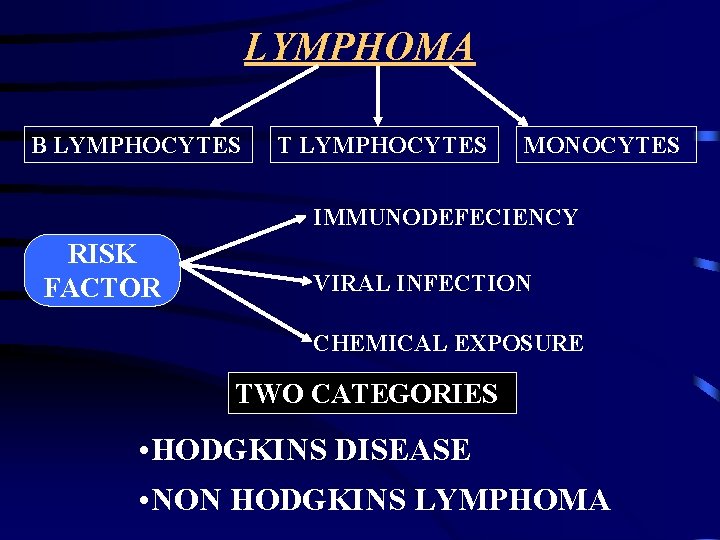 LYMPHOMA B LYMPHOCYTES T LYMPHOCYTES MONOCYTES IMMUNODEFECIENCY RISK FACTOR VIRAL INFECTION CHEMICAL EXPOSURE TWO