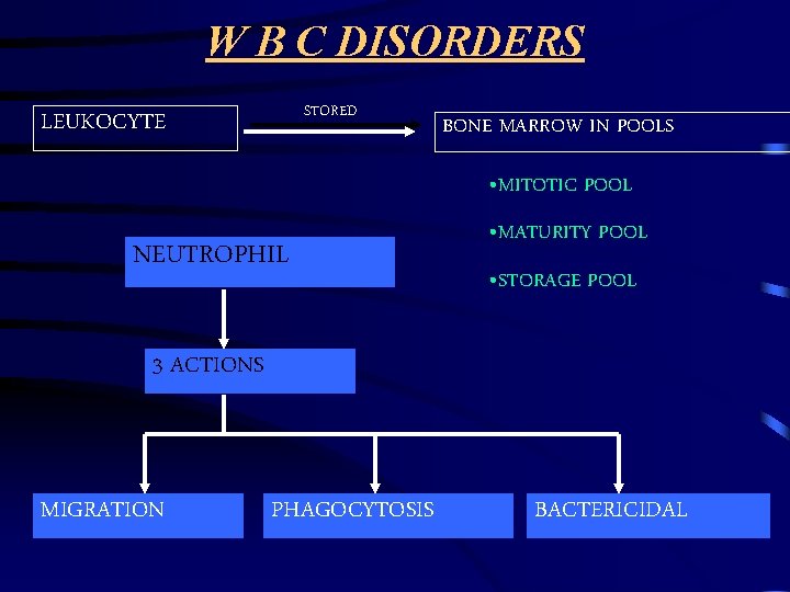 W B C DISORDERS STORED LEUKOCYTE BONE MARROW IN POOLS • MITOTIC POOL NEUTROPHIL