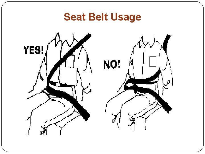 Seat Belt Usage 