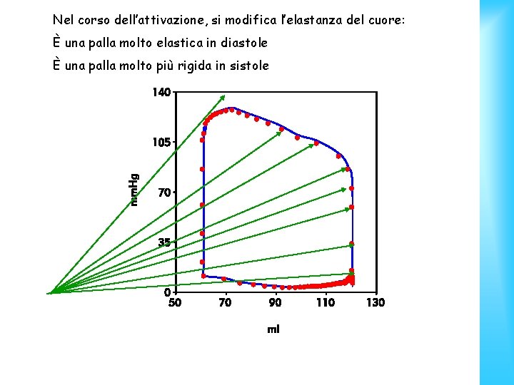 Nel corso dell’attivazione, si modifica l’elastanza del cuore: È una palla molto elastica in