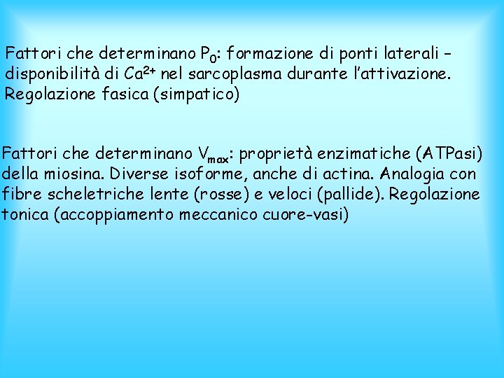 Fattori che determinano P 0: formazione di ponti laterali – disponibilità di Ca 2+