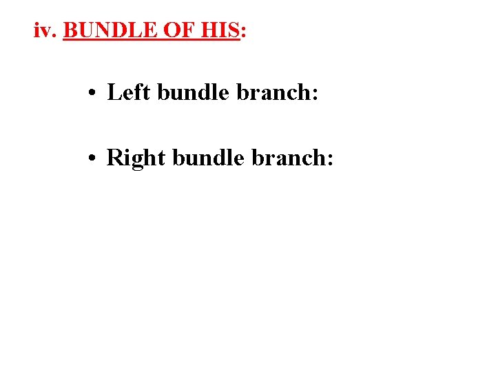 iv. BUNDLE OF HIS: • Left bundle branch: • Right bundle branch: 