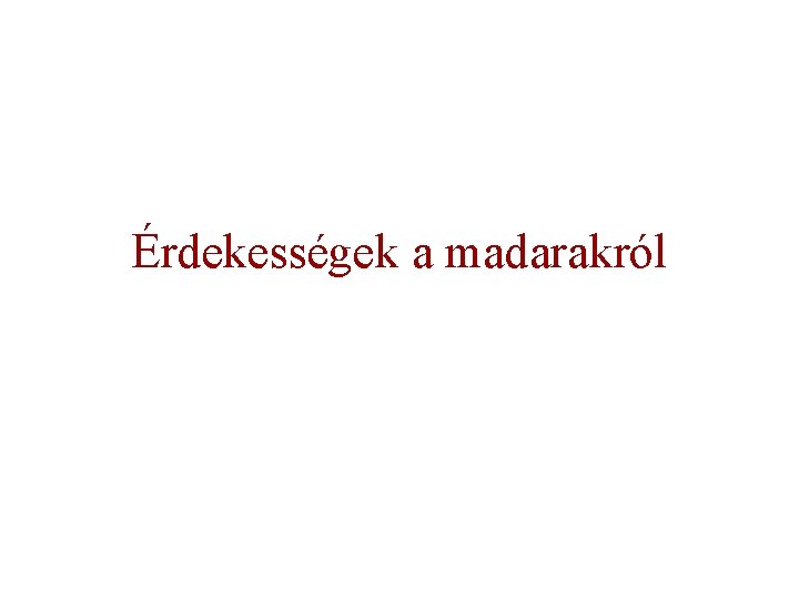 Érdekességek a madarakról 