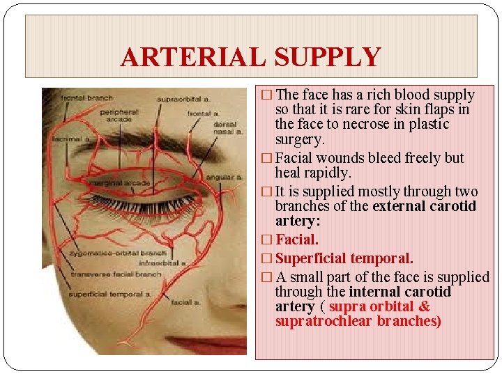 ARTERIAL SUPPLY � The face has a rich blood supply so that it is