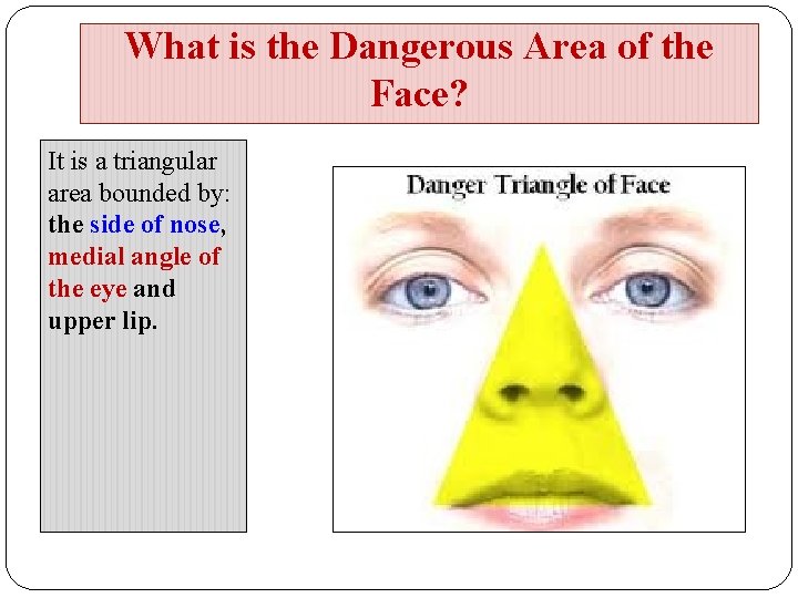 What is the Dangerous Area of the Face? It is a triangular area bounded