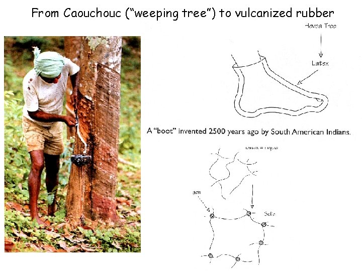 From Caouchouc (“weeping tree”) to vulcanized rubber 