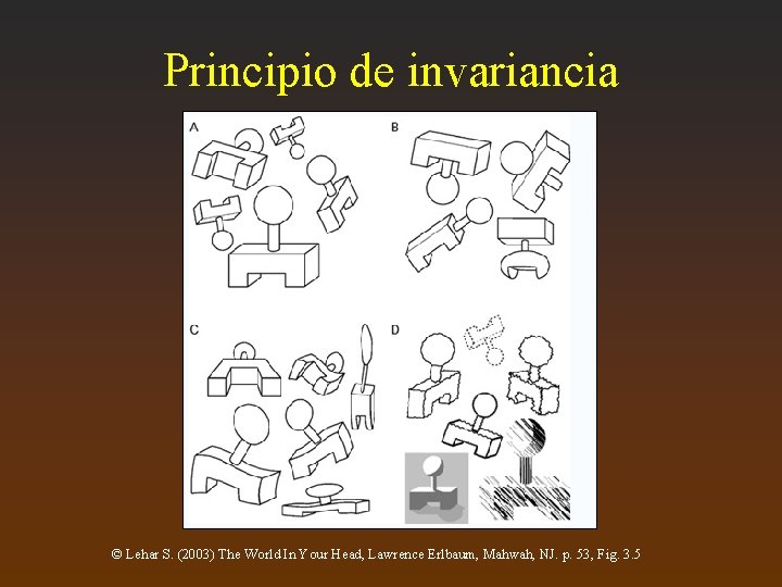 Principio de invariancia © Lehar S. (2003) The World In Your Head, Lawrence Erlbaum,