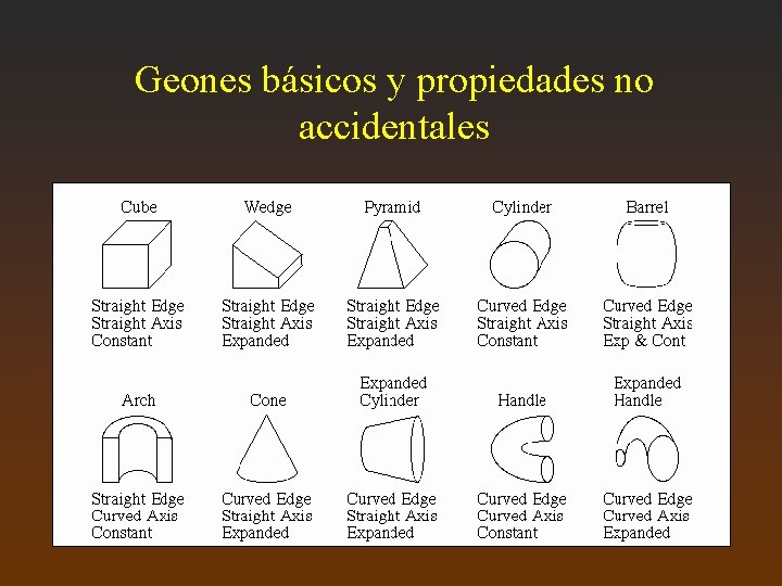 Geones básicos y propiedades no accidentales 