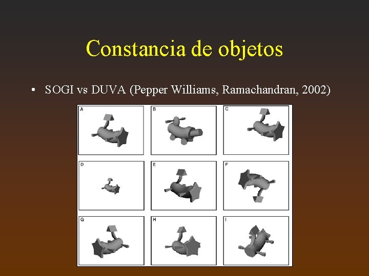 Constancia de objetos • SOGI vs DUVA (Pepper Williams, Ramachandran, 2002) 