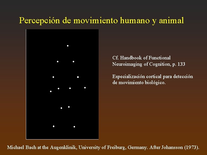 Percepción de movimiento humano y animal Cf. Handbook of Functional Neuroimaging of Cognition, p.