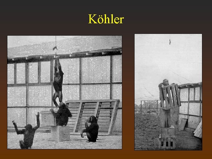 Köhler 