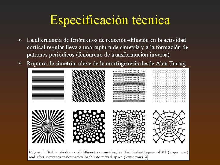 Especificación técnica • La alternancia de fenómenos de reacción-difusión en la actividad cortical regular