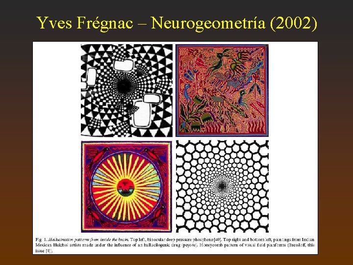 Yves Frégnac – Neurogeometría (2002) 