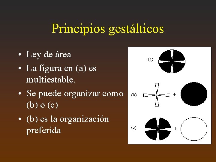 Principios gestálticos • Ley de área • La figura en (a) es multiestable. •