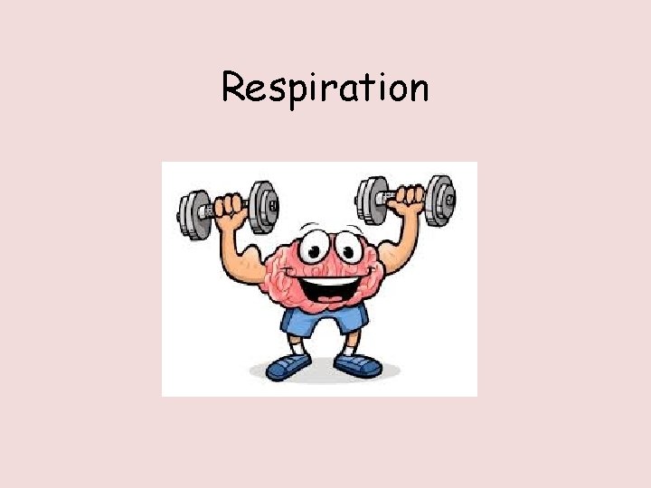 Respiration 