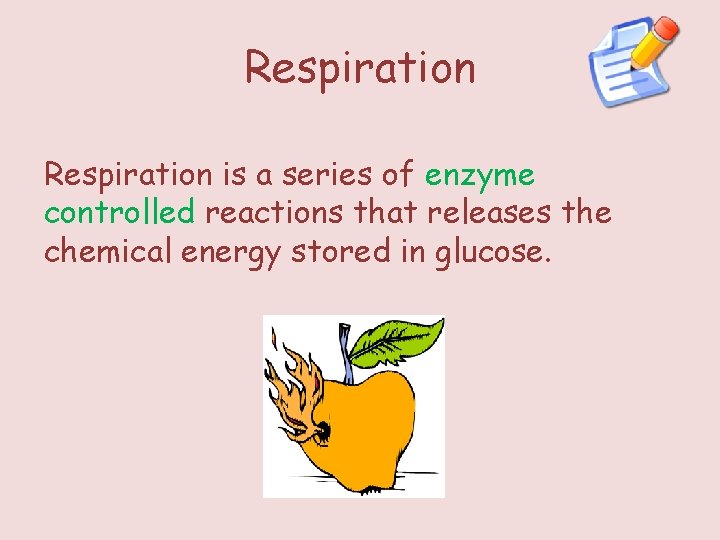 Respiration is a series of enzyme controlled reactions that releases the chemical energy stored