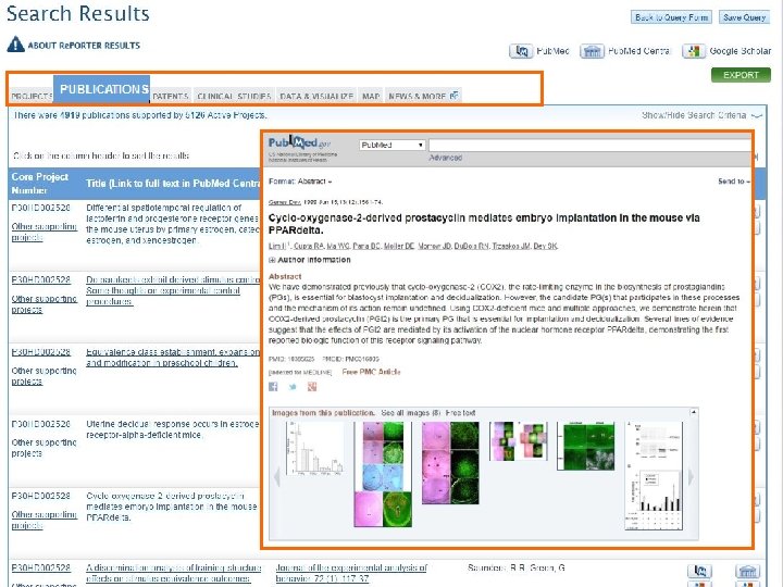 Search Results Publications 24 