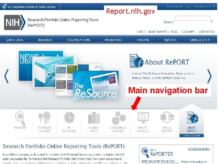Report. nih. gov Main navigation bar 